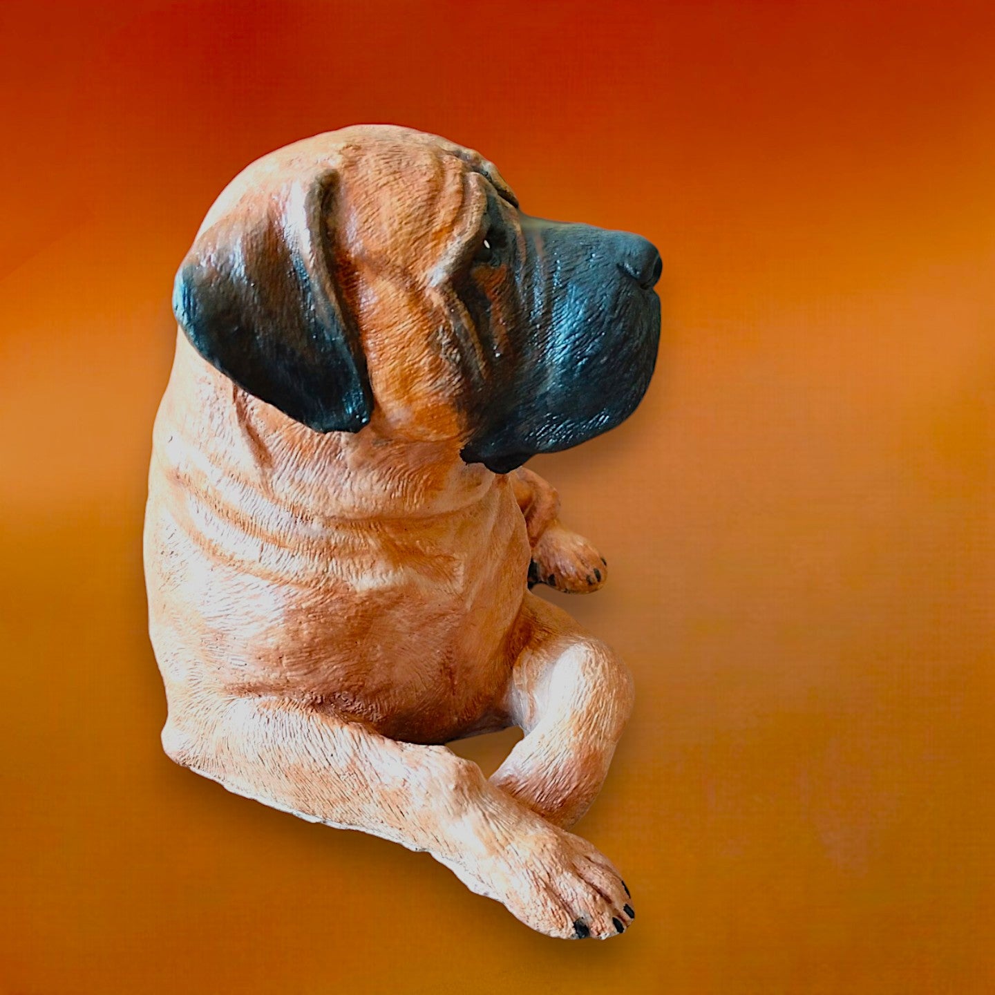 Bull Mastiff statue made of concrete and hand painted. Dog statue is laying down. Carmel brown colour with black snout and ears. Right side of statue