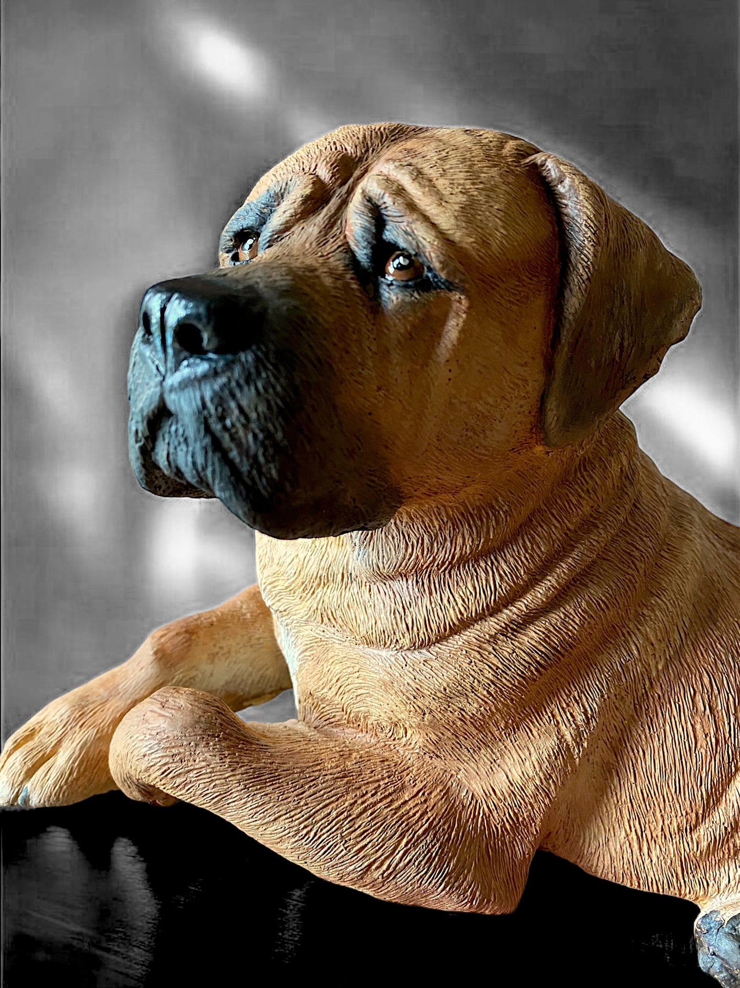Custom bull mastiff statue left front view of golden tan bullmastiff statue made of concrete.