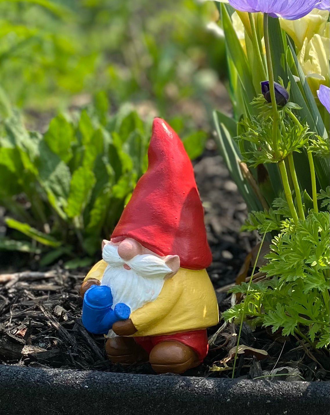 Gnome Statue, Garden Gnome, Gnome Ornament 6.25 inches (16cm) Red Hat & Monochrome