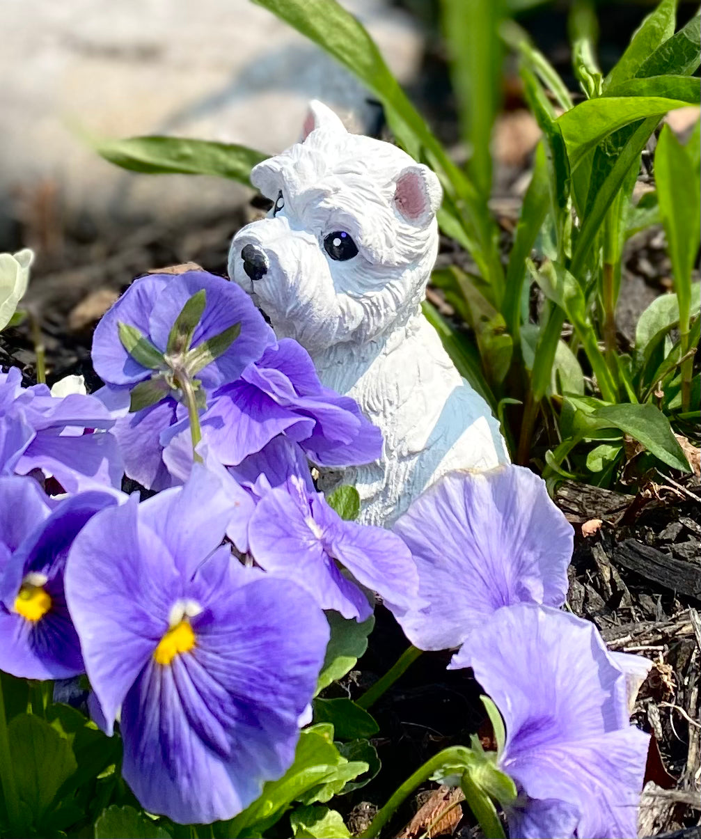 Terrier Dog Statue, Terrier Dog Ornament, West Highland Terrier Dog, Cairn Terrier Dog, Scottish Terrier Dog, Norwich Terrier Dog, Indoor/Outdoor Statue