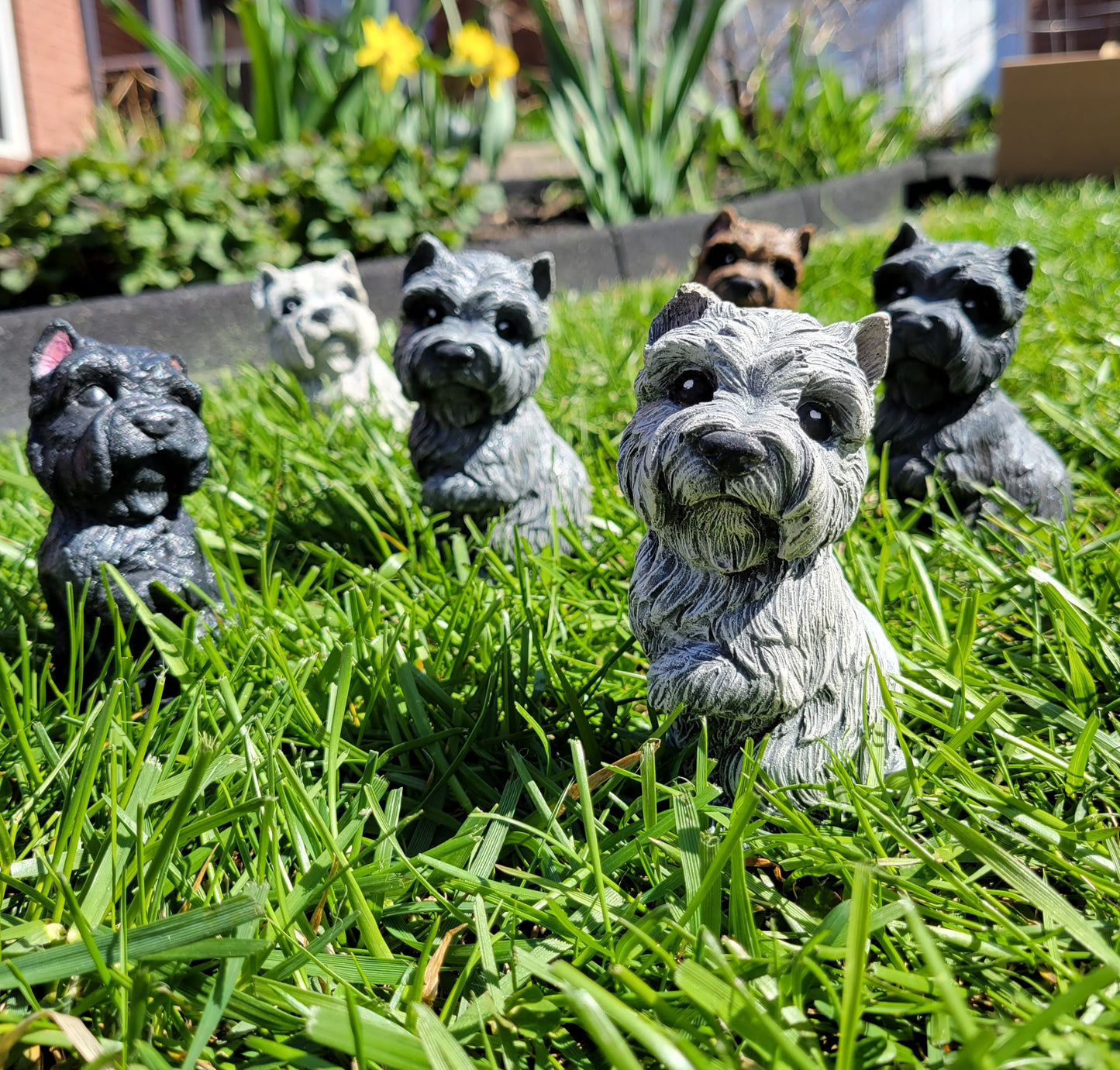 Terrier Dog Statue, Terrier Dog Ornament, West Highland Terrier Dog, Cairn Terrier Dog, Scottish Terrier Dog, Norwich Terrier Dog, Indoor/Outdoor Statue