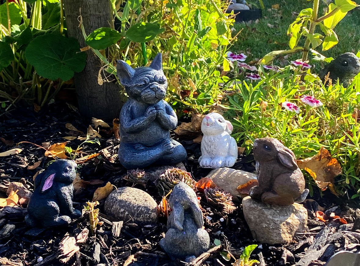 Meditating Dog Statue, Pit Bull, Pug, Bull Dog, Boxer, Boston Terrier, French Bull Dog, Mastiff Indoor/Outdoor Statue
