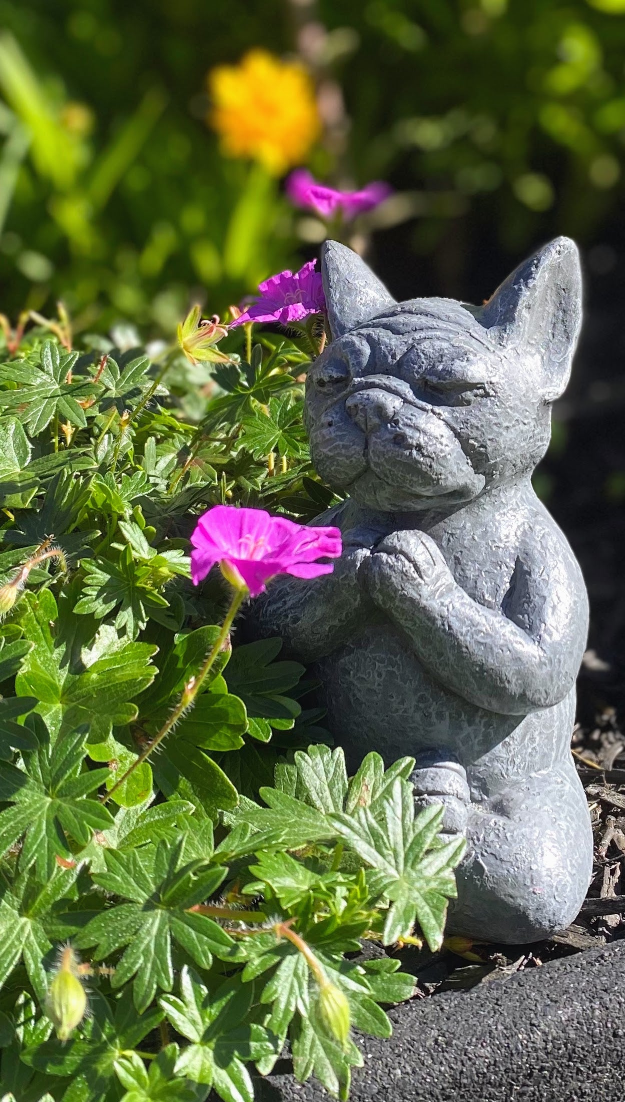 Meditating Dog Statue, Pit Bull, Pug, Bull Dog, Boxer, Boston Terrier, French Bull Dog, Mastiff Indoor/Outdoor Statue
