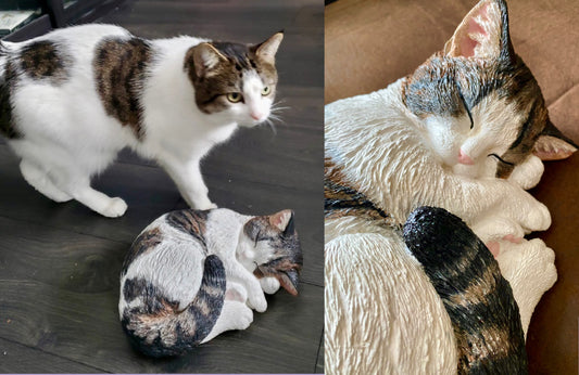 Custom Cat Statue - 3D Pet Portrait