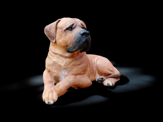 Bull Mastiff Dog, English Mastiff, Indoor/Outdoor Concrete Statue