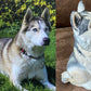 Dog Portrait - 3D Custom Dog Statue, Concrete Dog Statue