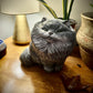 Cat Pet Portrait - 3D Custom Cat Portrait, Pet Memorial, Concrete Indoor/Outdoor