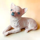 Chihuahua Dog Concrete Garden Statue, Chihuahua Dog Indoor/Outdoor Statue