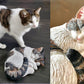 Cat Pet Portrait - 3D Custom Cat Portrait, Pet Memorial, Concrete Indoor/Outdoor