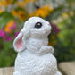 Bunny Statue Alert Pose, Rabbit Ornament, Bunny Garden Statue, Hare Statue, Indoor/Outdoor Statue