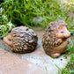 Hedgehog Individual, Hedgehog Statue, Hedgehog Ornament, Indoor/Outdoor Statue