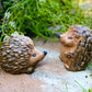 Hedgehog Individual, Hedgehog Statue, Hedgehog Ornament, Indoor/Outdoor Statue