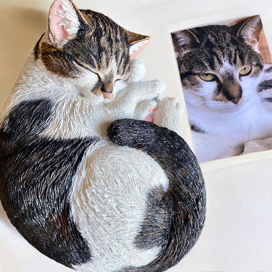 Cat Pet Portrait - 3D Custom Cat Portrait, Pet Memorial, Concrete Indoor/Outdoor