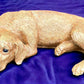 Dog Portrait - 3D Custom Dog Statue, Concrete Dog Statue