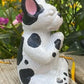 Meditating Dog Statue, Pit Bull, Pug, Bull Dog, Boxer, Boston Terrier, French Bull Dog, Mastiff Indoor/Outdoor Statue