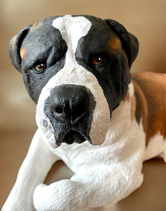 Saint Bernard statue made of concrete commissioned pet portrait of Charlie. Dog statue is laying down. Close up of face.