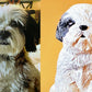 Shih Tzu Statue Pet Portrait of Emma Black and White Shih Tzu Pet Memorial. Photo of Emma shown next to photo of her commissioned statue.