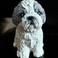 Shih Tzu/Maltese Dog Concrete Garden Statue, Shih Tzu/Maltese Dog Indoor/Outdoor Statue