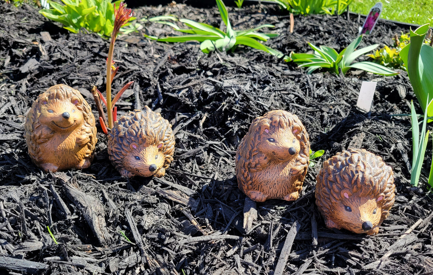 Hedgehog Pair, Hedgehog Statue, Hedgehog Ornament, Indoor/Outdoor Statues