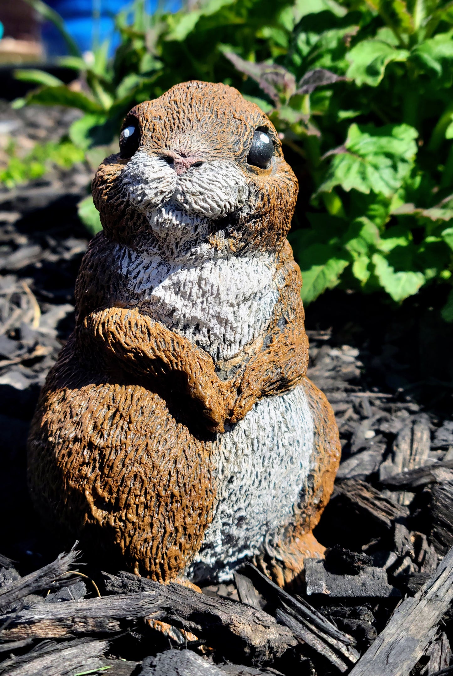 BrownwithwhitetummyConcrete Garden Bunny Rabbit Statue Front View