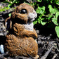 BrownwithwhitetummyConcrete Garden Bunny Rabbit Statue Side View