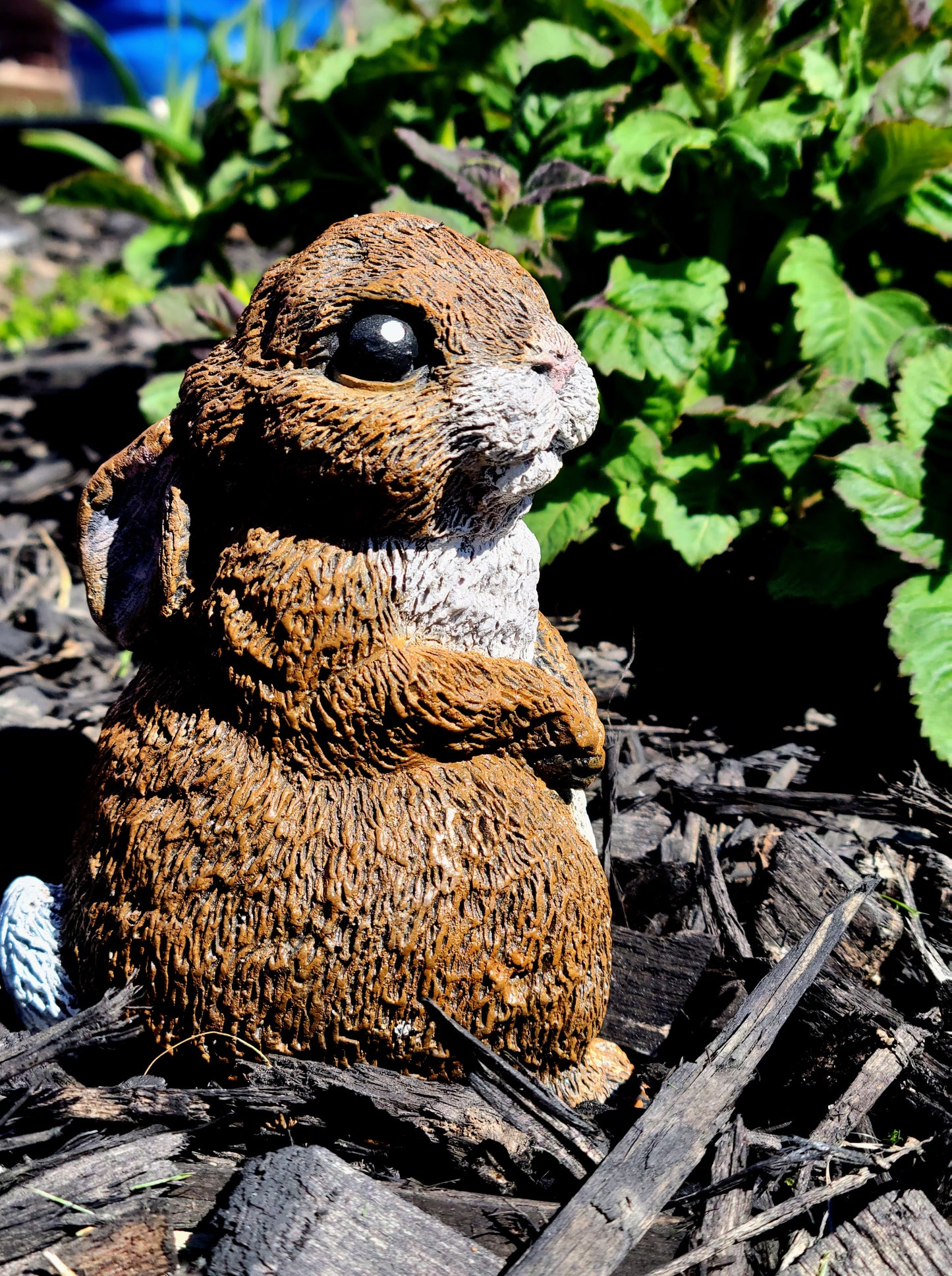 BrownwithwhitetummyConcrete Garden Bunny Rabbit Statue Side View