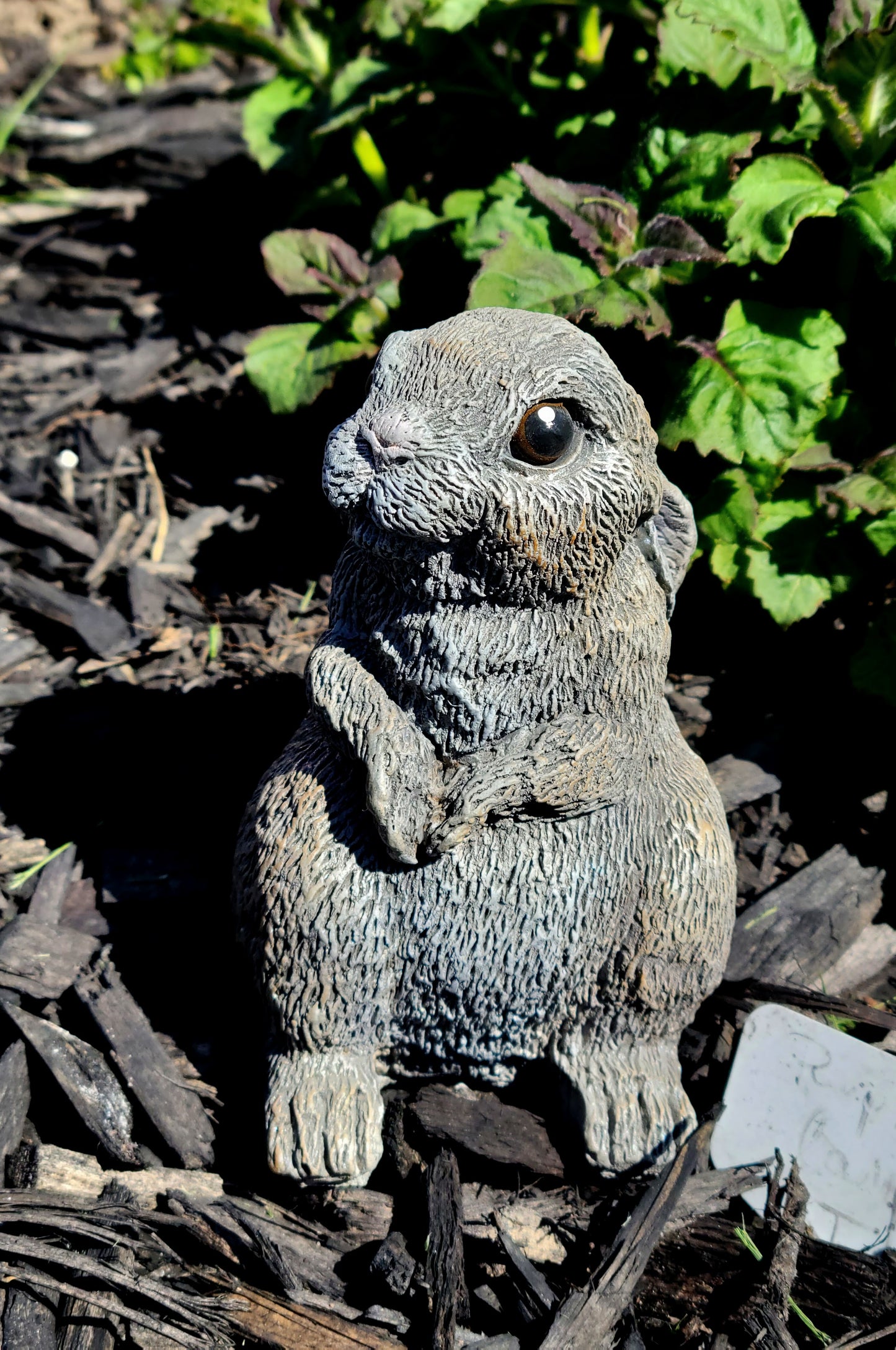 LightGreyConcrete Garden Bunny Rabbit Statue Front View