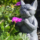 Meditating Dog Statue, Pit Bull, Pug, Bull Dog, Boxer, Boston Terrier, French Bull Dog, Mastiff Indoor/Outdoor Statue